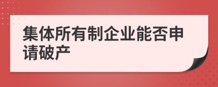 集体所有制企业能否申请破产