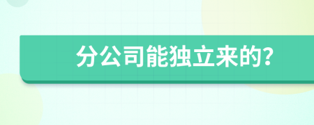 分公司能独立来的？