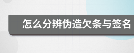 怎么分辨伪造欠条与签名