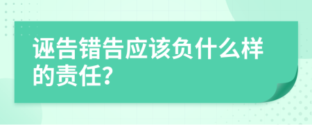 诬告错告应该负什么样的责任？