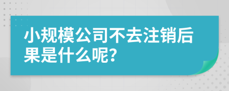 小规模公司不去注销后果是什么呢？