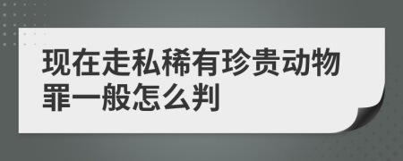 现在走私稀有珍贵动物罪一般怎么判