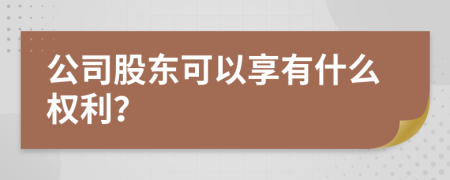 公司股东可以享有什么权利？