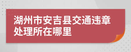 湖州市安吉县交通违章处理所在哪里