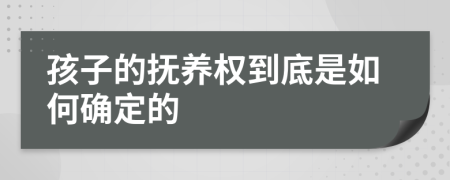 孩子的抚养权到底是如何确定的