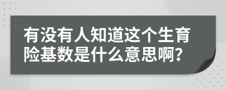 有没有人知道这个生育险基数是什么意思啊？