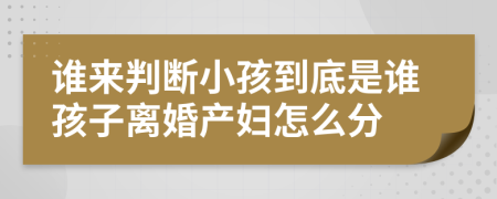 谁来判断小孩到底是谁孩子离婚产妇怎么分