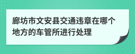 廊坊市文安县交通违章在哪个地方的车管所进行处理