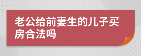 老公给前妻生的儿子买房合法吗