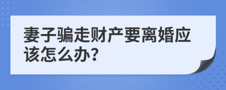 妻子骗走财产要离婚应该怎么办？