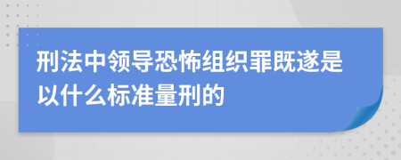 刑法中领导恐怖组织罪既遂是以什么标准量刑的