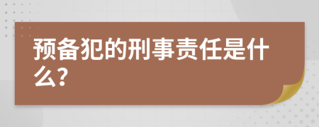 预备犯的刑事责任是什么？