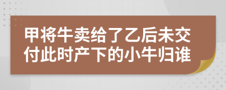 甲将牛卖给了乙后未交付此时产下的小牛归谁