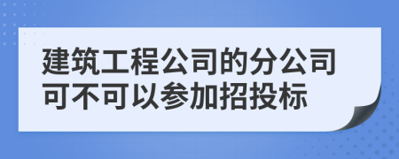 建筑工程公司的分公司可不可以参加招投标