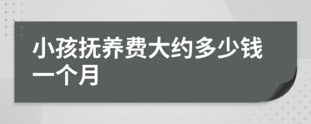 小孩抚养费大约多少钱一个月