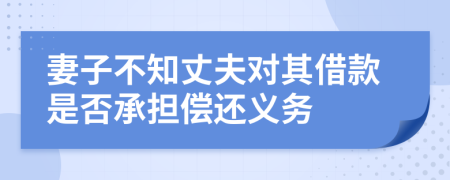 妻子不知丈夫对其借款是否承担偿还义务