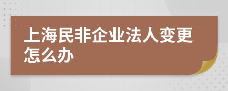 上海民非企业法人变更怎么办