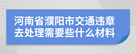 河南省濮阳市交通违章去处理需要些什么材料