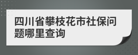 四川省攀枝花市社保问题哪里查询