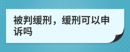 被判缓刑，缓刑可以申诉吗