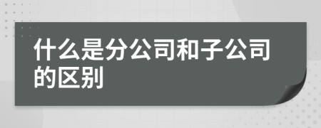 什么是分公司和子公司的区别