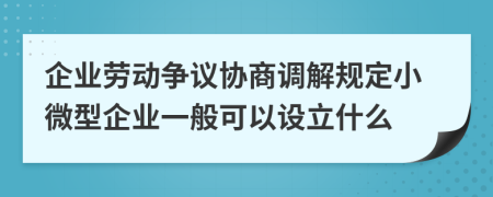 企业劳动争议协商调解规定小微型企业一般可以设立什么