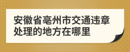 安徽省亳州市交通违章处理的地方在哪里