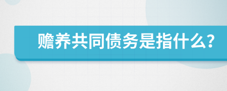 赡养共同债务是指什么？