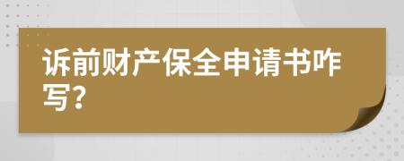 诉前财产保全申请书咋写？
