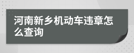 河南新乡机动车违章怎么查询