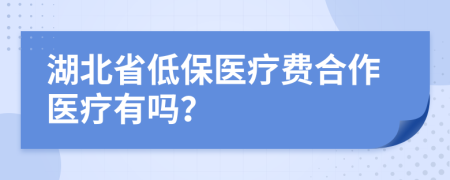 湖北省低保医疗费合作医疗有吗？