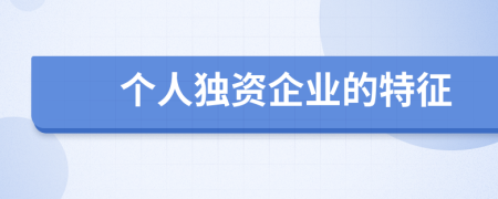 个人独资企业的特征