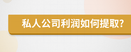 私人公司利润如何提取?