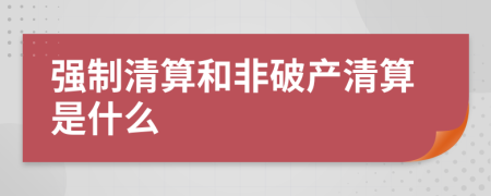 强制清算和非破产清算是什么