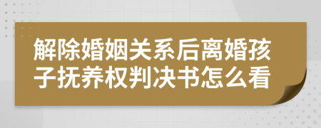 解除婚姻关系后离婚孩子抚养权判决书怎么看