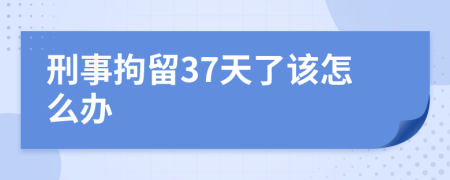 刑事拘留37天了该怎么办