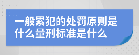一般累犯的处罚原则是什么量刑标准是什么