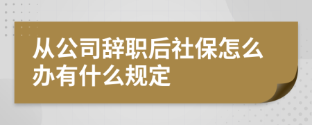 从公司辞职后社保怎么办有什么规定