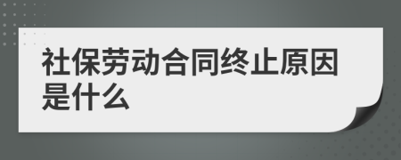 社保劳动合同终止原因是什么