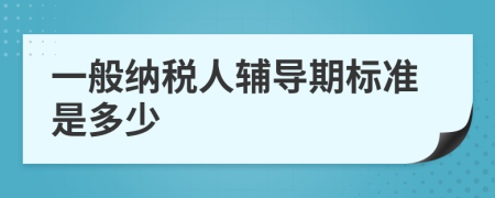 一般纳税人辅导期标准是多少