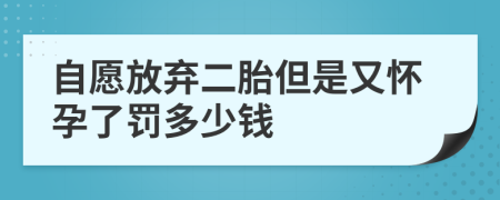 自愿放弃二胎但是又怀孕了罚多少钱