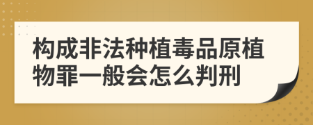 构成非法种植毒品原植物罪一般会怎么判刑