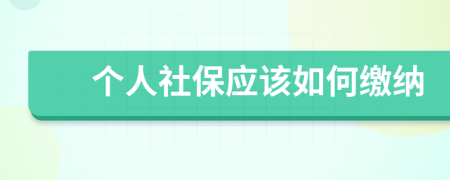 个人社保应该如何缴纳