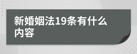 新婚姻法19条有什么内容