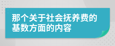 那个关于社会抚养费的基数方面的内容