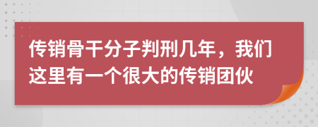 传销骨干分子判刑几年，我们这里有一个很大的传销团伙