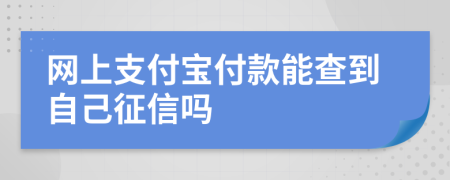 网上支付宝付款能查到自己征信吗