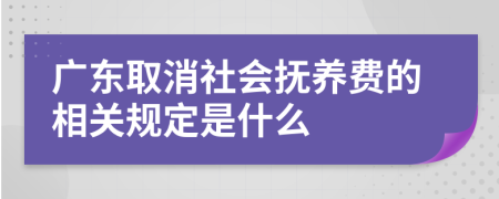 广东取消社会抚养费的相关规定是什么