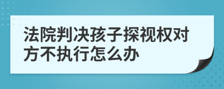 法院判决孩子探视权对方不执行怎么办