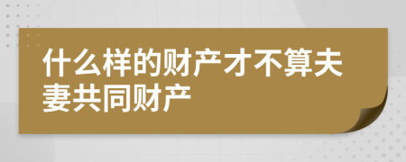 什么样的财产才不算夫妻共同财产